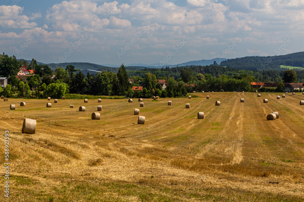 Rural landscape near Kremze village, Czech Republic