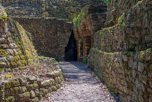 Entrance to the Maya labyrinth or structure 19, Yaxchilan, Chiapas, Mexico. photo