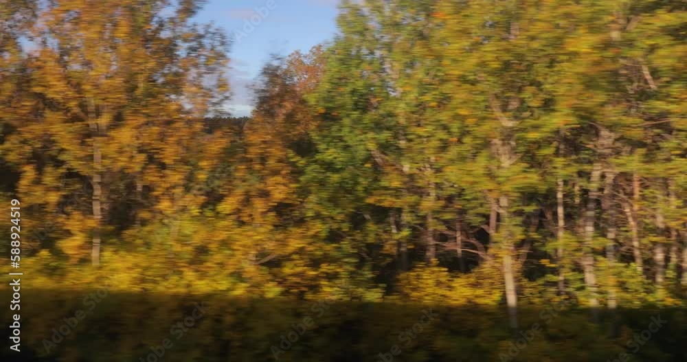 Train journey window view autumn colors Train journey window view autumn colors