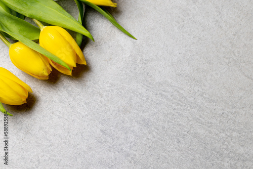 Image of yellow tulips with copy space on slate grey background