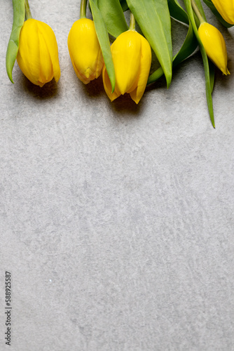 Image of yellow tulips with copy space on slate grey background