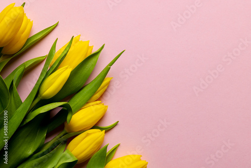 Image of yellow tulips with copy space on pink background