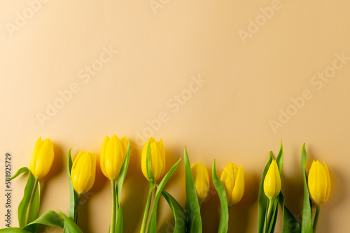 Image of yellow tulips with copy space on yellow background