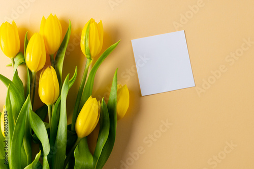 Image of yellow tulips and card with copy space on yellow background