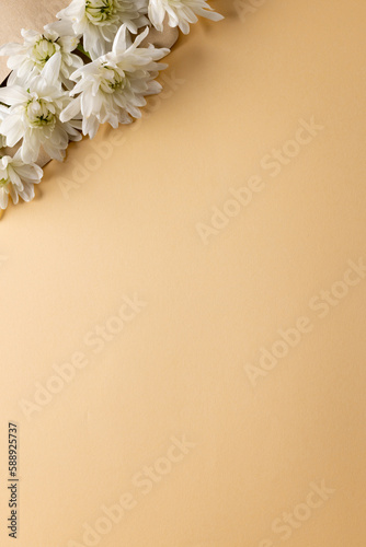 Image of white flowers in envelope with copy space on yellow background