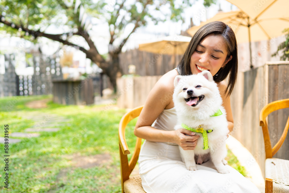 Asian woman playing with her pomeranian dog at pets friendly dog park cafe. Domestic dog with owner have fun urban outdoor lifestyle on summer holiday vacation. Pet Humanization or pet parents concept Asian woman playing with her pomeranian dog at pets friendly dog park cafe. Domestic dog with owner have fun urban outdoor lifestyle on summer holiday vacation. Pet Humanization or pet parents concept