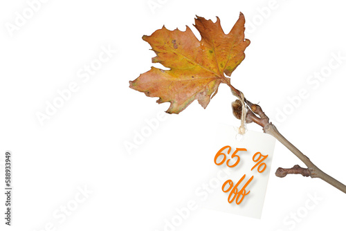 Label with sixty-five percent discount on ticket, discount tag with yellowed leaf on twig. Autumn or winter sale concept idea. photo