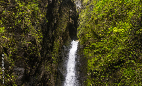 Waterfall stream in hawaii. Green jungle forest. 