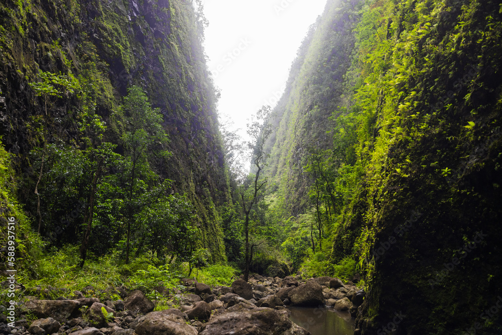 Obraz premium A small stream with rocks surrounded by green mountains. Jungle nature in Hawaii hike.