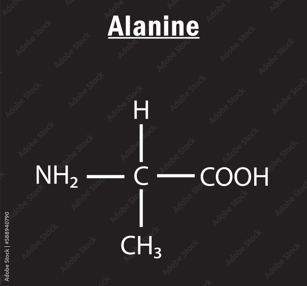 Alanine amino acid formula and structure. Chemical molecular formula of Alanine. vector de Stock