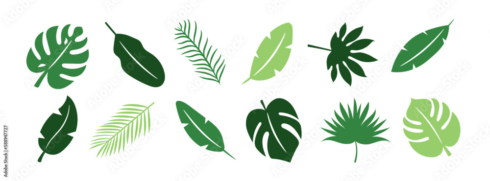 A set of hand-drawn tropical leaves on a white background