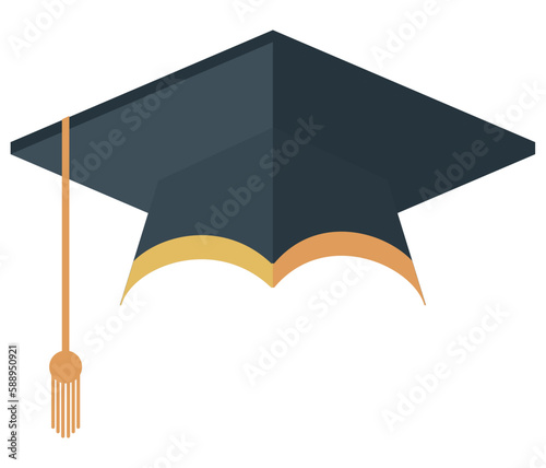 graduation hat accessory
