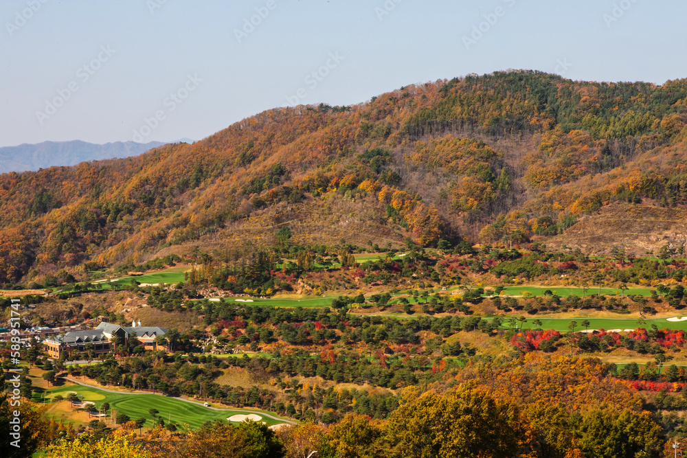 Autumn landscape photo with beautiful autumn leaves