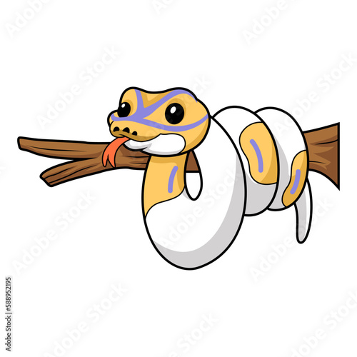 Cute banana pied ball python cartoon on tree branch