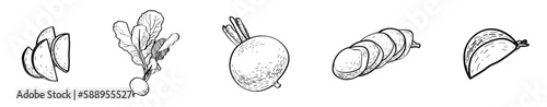 Set of radish on white background