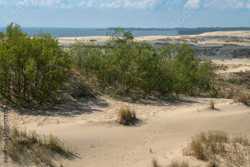 View of Staroderevenskaya dune from the height of Efa (Walnut Dune) and the Baltic Sea in the background on a sunny summer day, Curonian Spit, Kaliningrad region, Russia