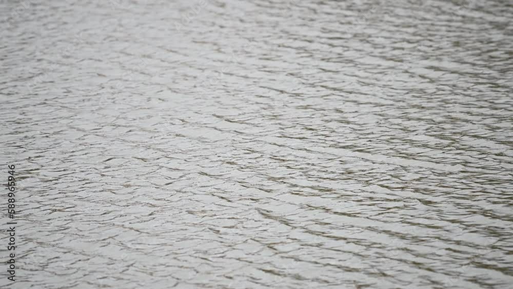 Closeup surface of clear water with small ripple waves in lake Closeup surface of clear water with small ripple waves in lake