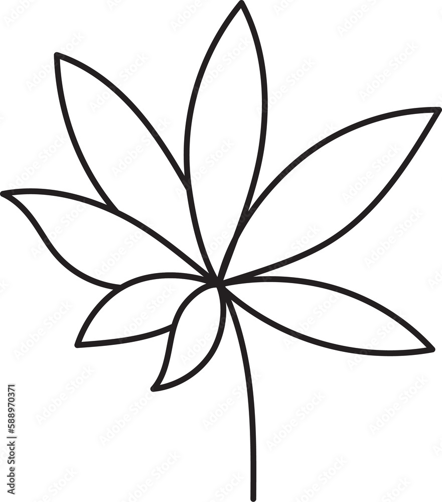 Leaf drawing Leaf drawing