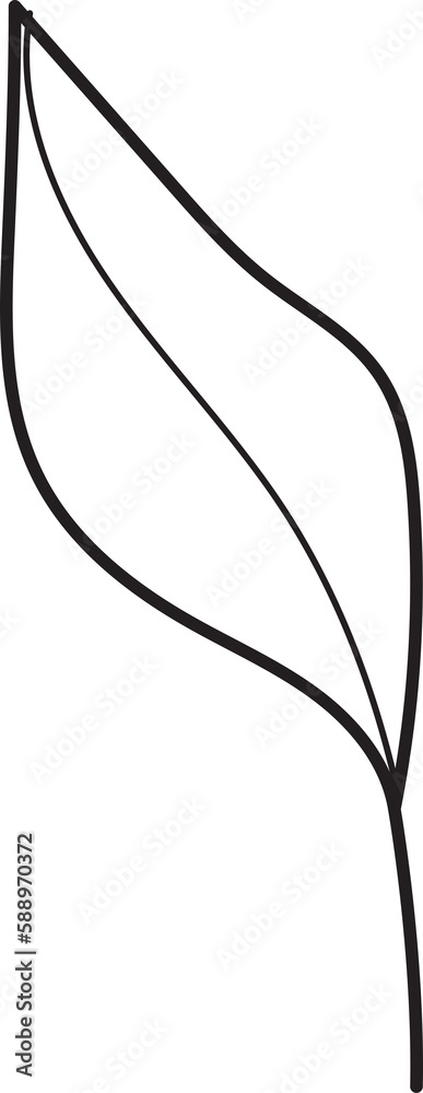 Obraz premium Leaf drawing