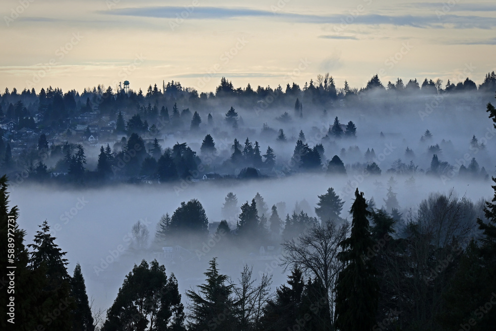 Fototapeta premium fog over the landscape