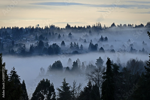 fog over the landscape