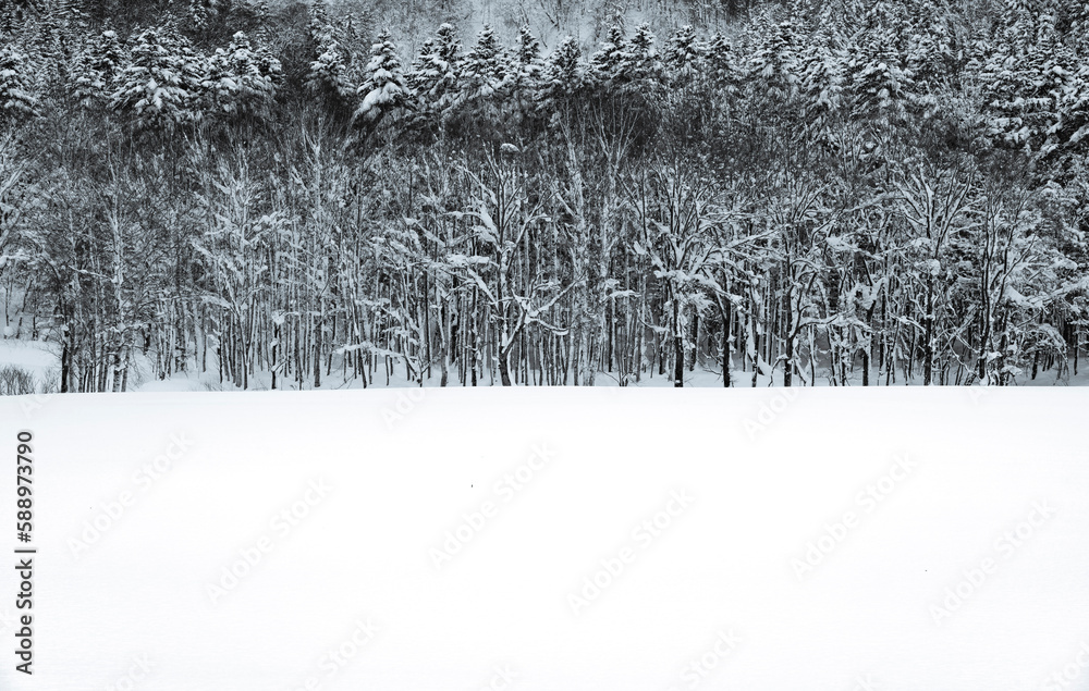 Naklejka premium winter,snow