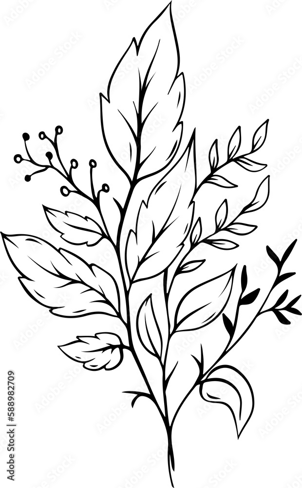 botanical leaf arrangement outline botanical leaf arrangement outline