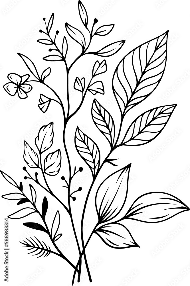botanical leaf arrangement outline botanical leaf arrangement outline