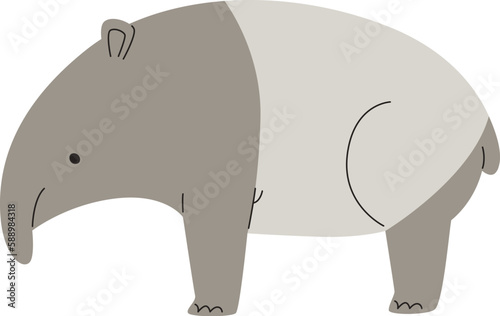 Tapir Animal Staying
