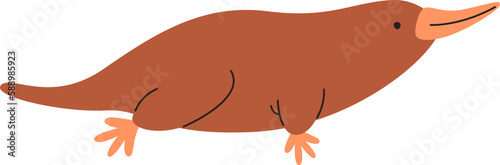 Platypus Animal Illustration