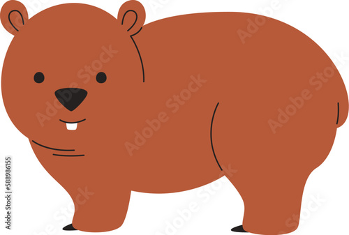 Staying Wombat Animal