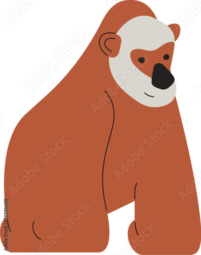 Orangutan Ape Animal