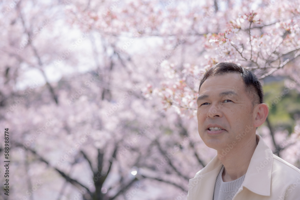 Middle-aged Asian man wearing white cardigan with cherry blossoms in background. Middle-aged Asian man wearing white cardigan with cherry blossoms in background.