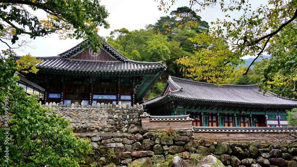 Beautiful Korean traditional temple