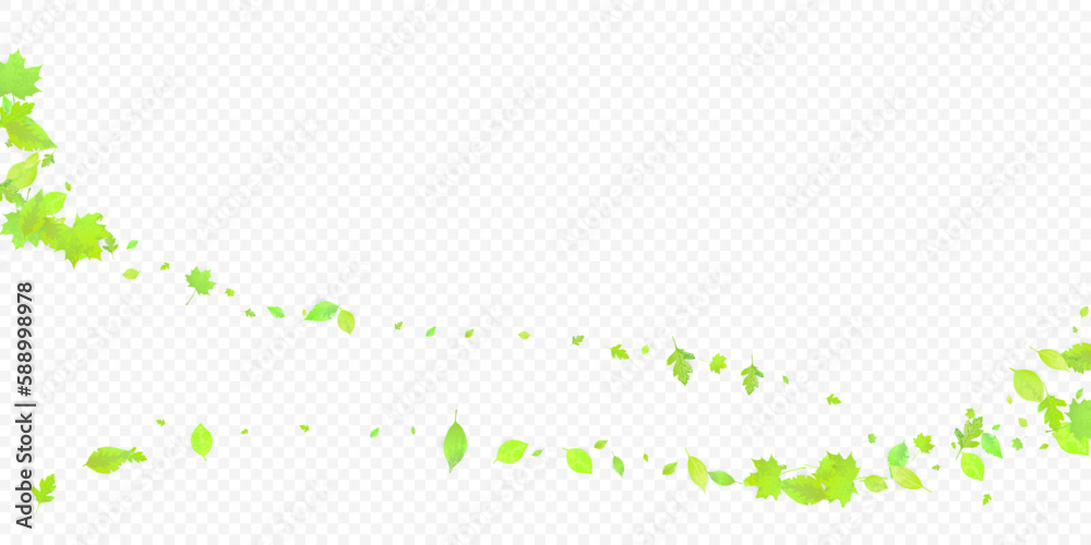 Leaves Falling Spring Flying Foliage Green Leaf Leaves Falling Spring Flying Foliage Green Leaf