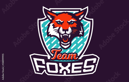 Sports logo with fox mascot. Colorful sport emblem with fox mascot and bold font on shield background. Logo for esport team  athletic club  college team. Isolated vector illustration