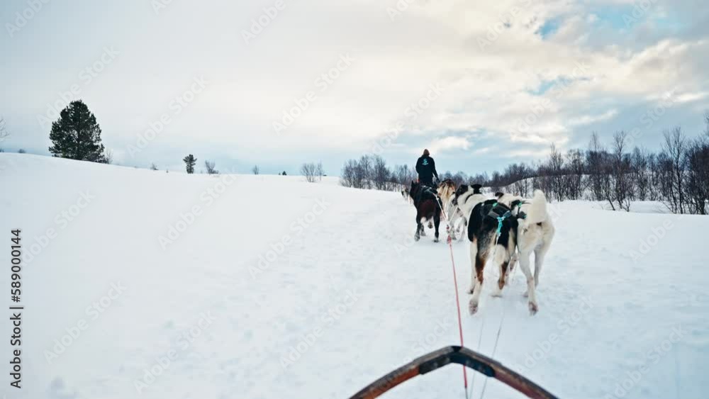 Vídeo do Stock: Husky Sled Dog teams Pulling a Sled through the ...