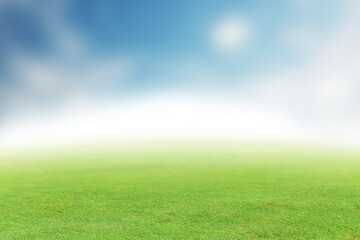 Lush green summer landscape with field and sky