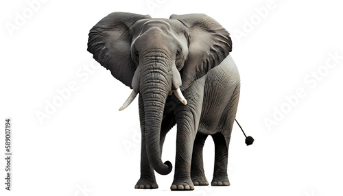 African elephant on transparent background, isolated on white