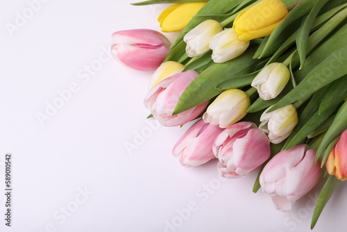 Fototapeta Naklejka Na Ścianę i Meble -  Beautiful colorful tulips on light background, closeup. Space for text