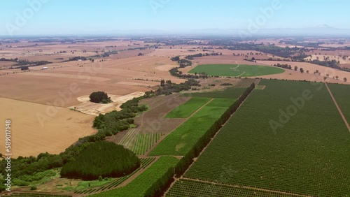 Aerial view over vineyards in the Malleco Valley. Chile, South America. In the background can be seen the lonquimay and Tolhuaca volcanoes. Slow rotating pan drone shot photo