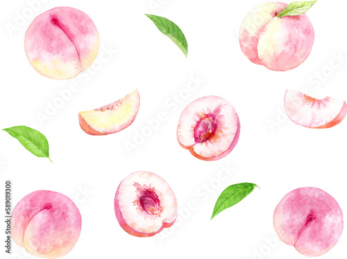 水彩で描いた桃のベクターイラストセット 