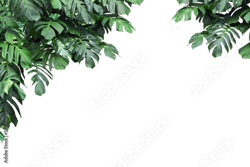 square frame surrounded by monstera leaves with copy space.