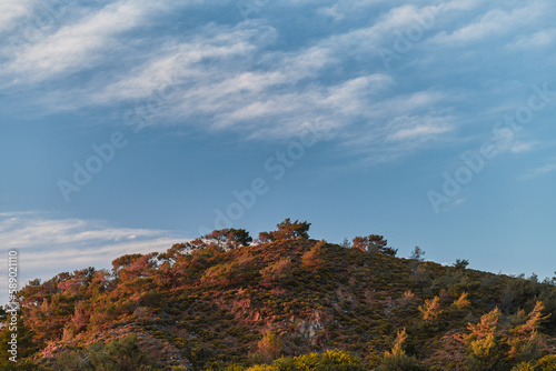 Scenic landscape of a hill against a sky of feather clouds in the red pink sunset light on the Aegean coast of Turkey  landscape or screensaver idea