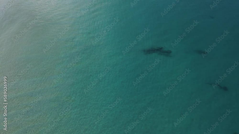 Textrue Ocean Aerial view blue sea water Textrue Ocean Aerial view blue sea water