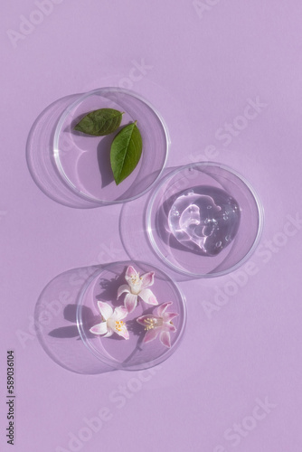 Facial serum or gel with hyaluronic acid, flower and leaves in Petri dishes on a lilac background. Concept of cosmetics laboratory researches, wellness, beauty and natural cosmetics