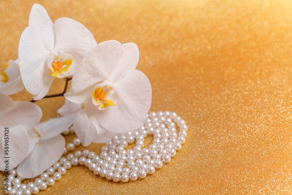 white Orchid and pearl necklace on a shiny gold background
white Orchid and pearl necklace on a shiny gold background