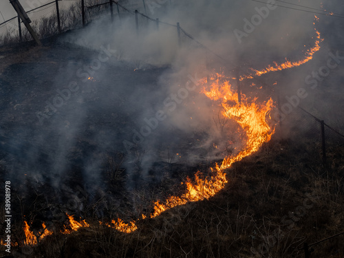 Dry grass burns during drought weather. Natural disaster.