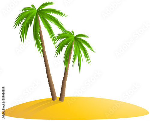 palm tree on the beach