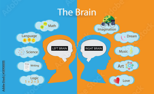 illustration of biology, the left hemisphere controls speech, comprehension, arithmetic, and writing. The right hemisphere controls creativity, spatial ability, artistic, and musical skills